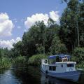 Borneo tour : you will have a unique experience on the klotok (river boat) on the Sekonyer river