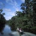 Borneo: Seykoner river
