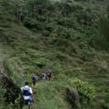 Sulawesi: Limbong Trekking