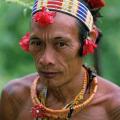Mentawai local indigenous
