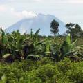 Berastagi: Sibayak volcano