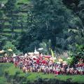 Bali: traditional ceremony